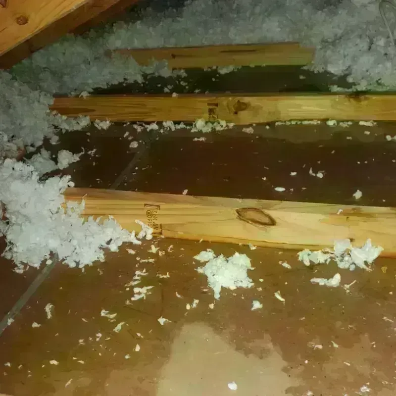 Attic Water Damage in Wayne County, IA