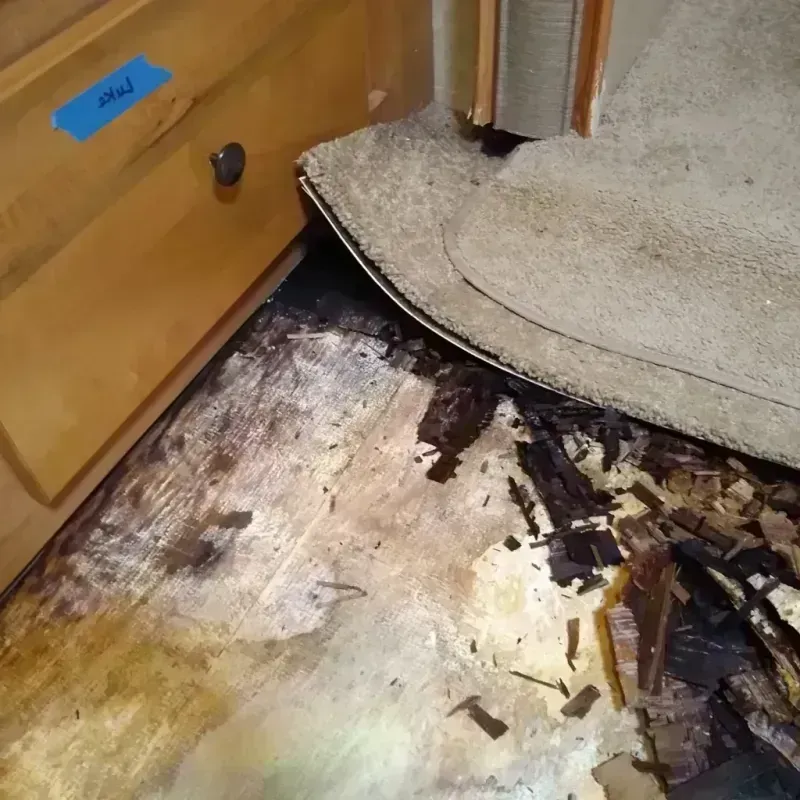 Wood Floor Water Damage in Wayne County, IA